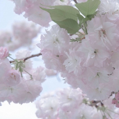 兽设雨夜场景绘制福瑞群